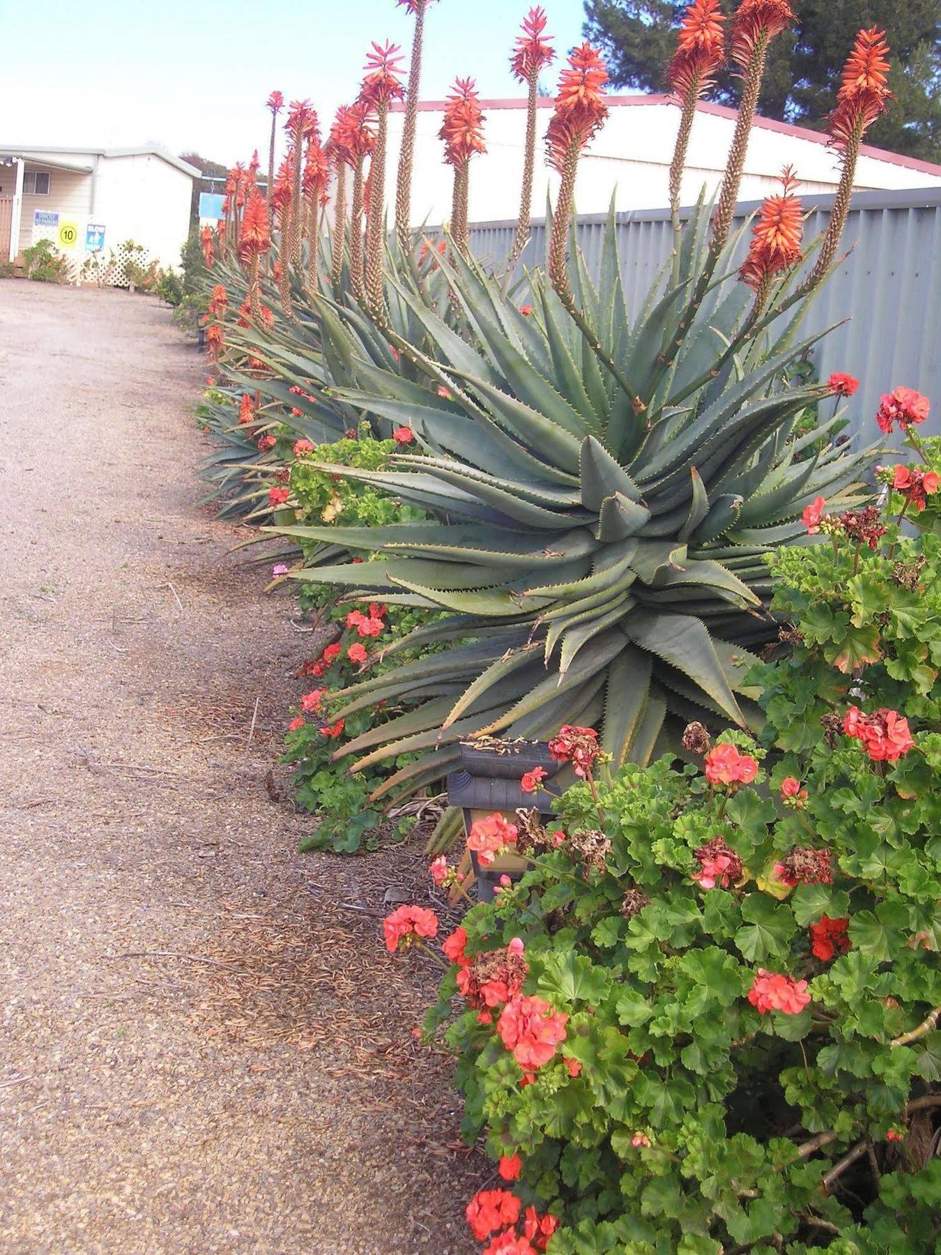 Moonta Bay Accommodation Port Moonta Экстерьер фото